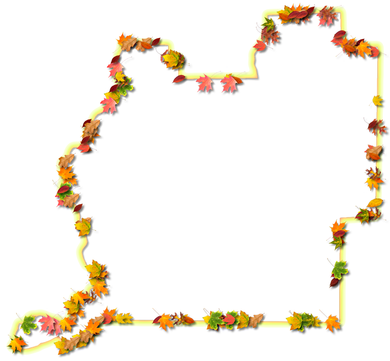 A Yellow And Orange Outline Map Of Washington With - Floral Design Clipart (768x711), Png Download