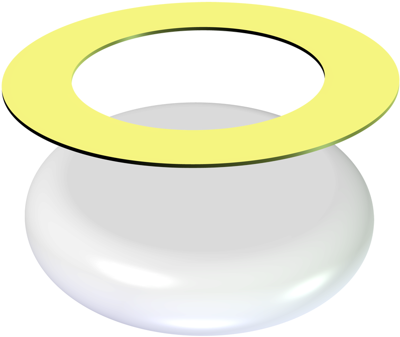 Picture - Circle Clipart (800x800), Png Download