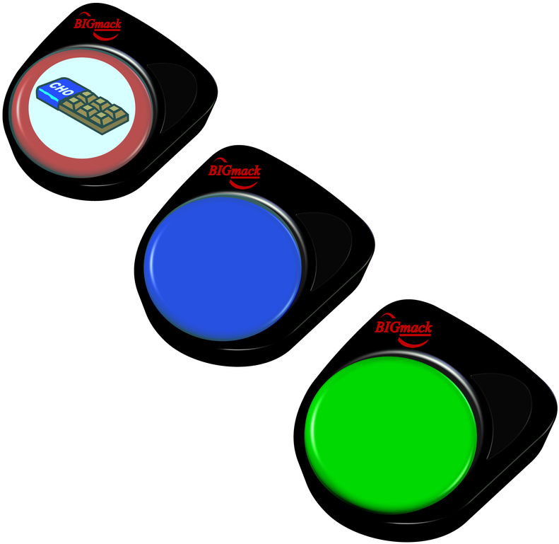 Picture - History Clipart (800x800), Png Download