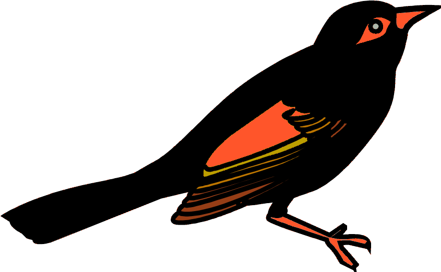 Bill Wallace - Great Kiskadee Clipart (960x720), Png Download