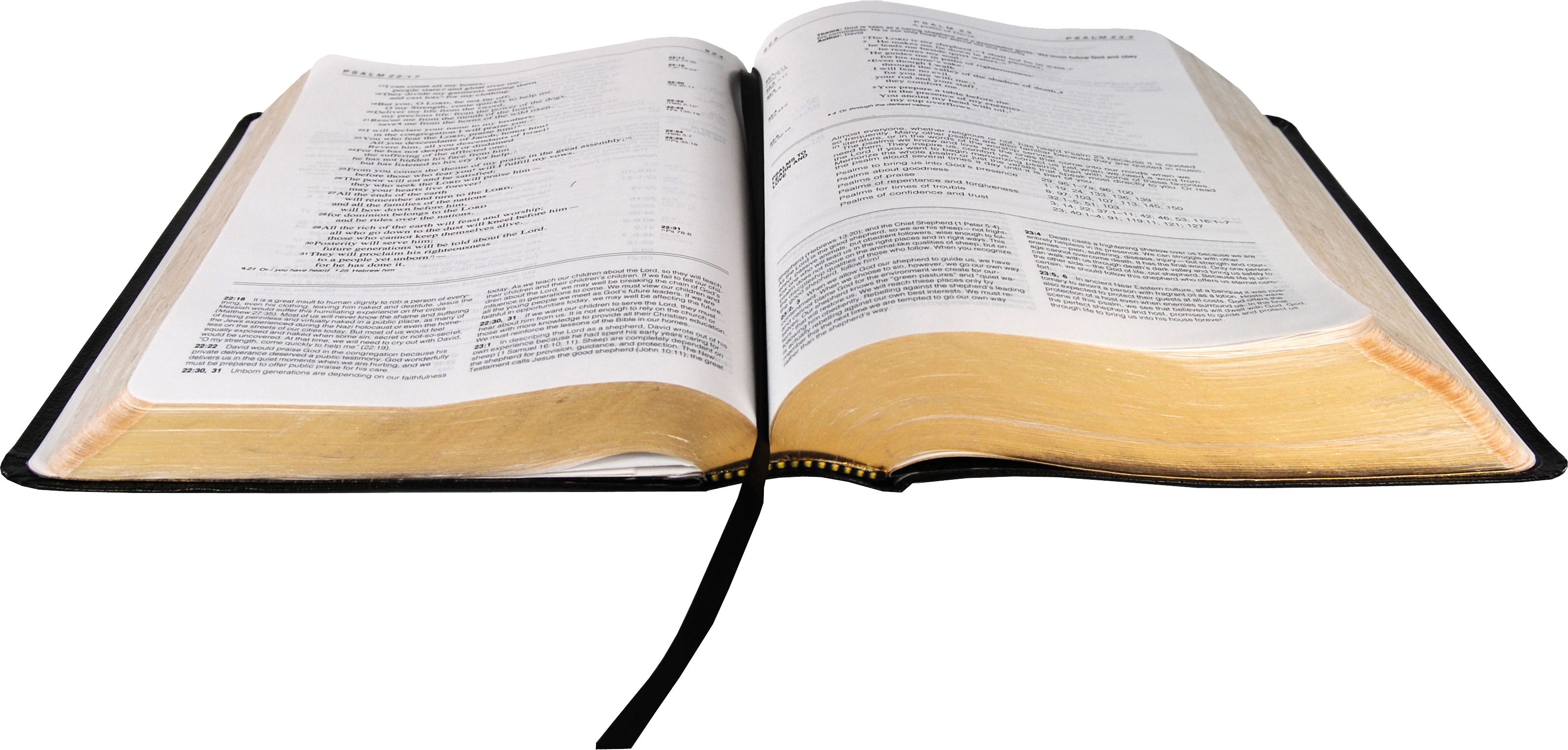 Free Download From The - Bible With No Background Clipart (3200x1532), Png Download