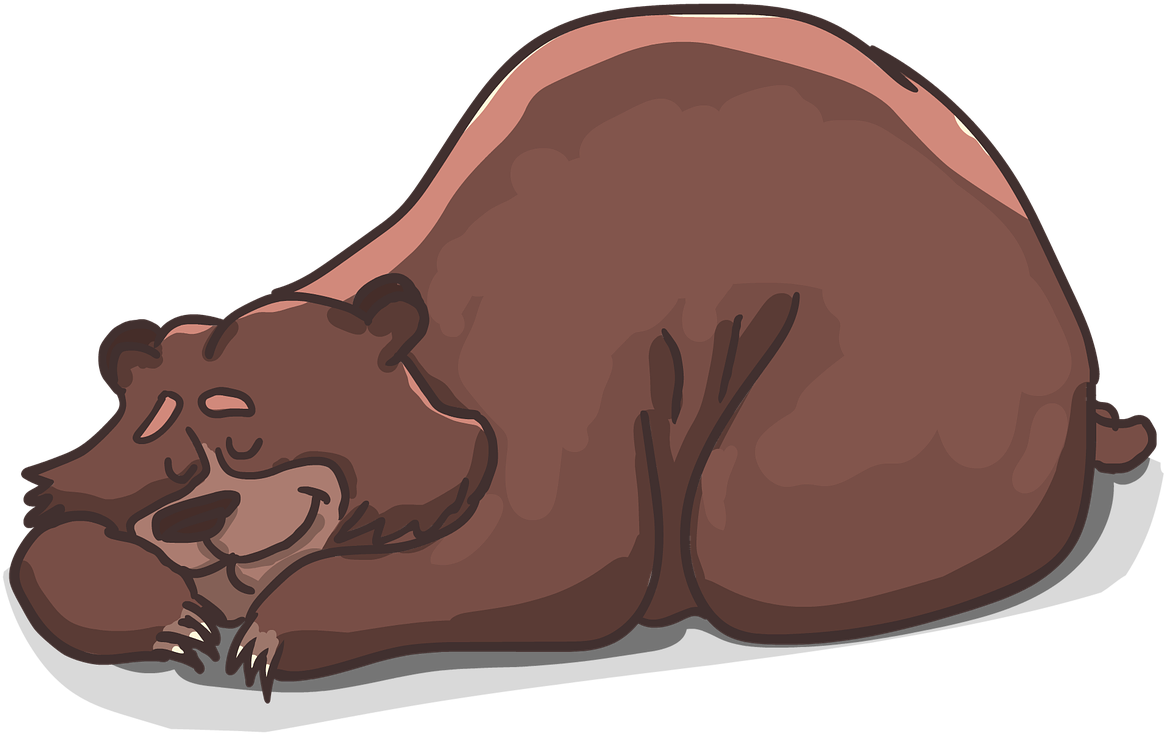 Sleeping Bear - Brown Bear Sleeping Clipart - Png Download (1280x792), Png Download