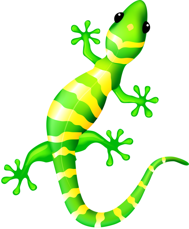 Gecko Clipart - Png Download (662x800), Png Download