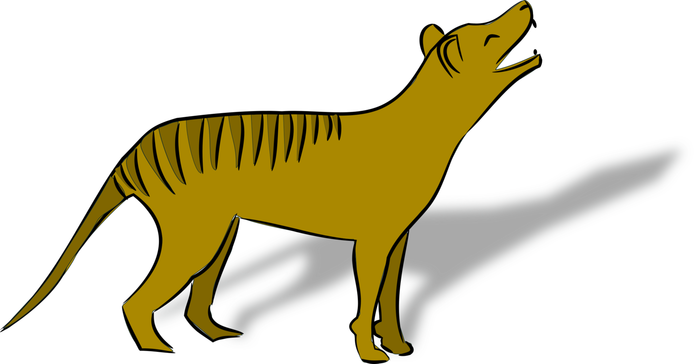 Thylacine Clipart - Png Download (1431x750), Png Download