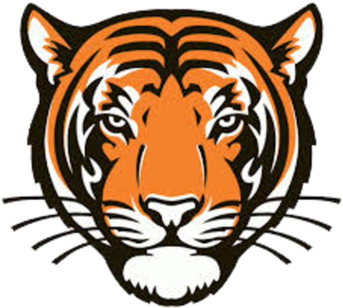 Tiger Coming Out Of Basketball Clipart Royalty Free - Princeton University School Mascot - Png Download (720x636), Png Download