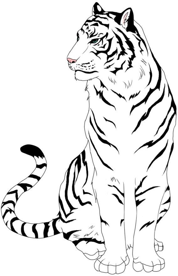 Tigers Drawing Sketch Transparent Png Clipart Free - Black And White Tiger Clipart (900x900), Png Download