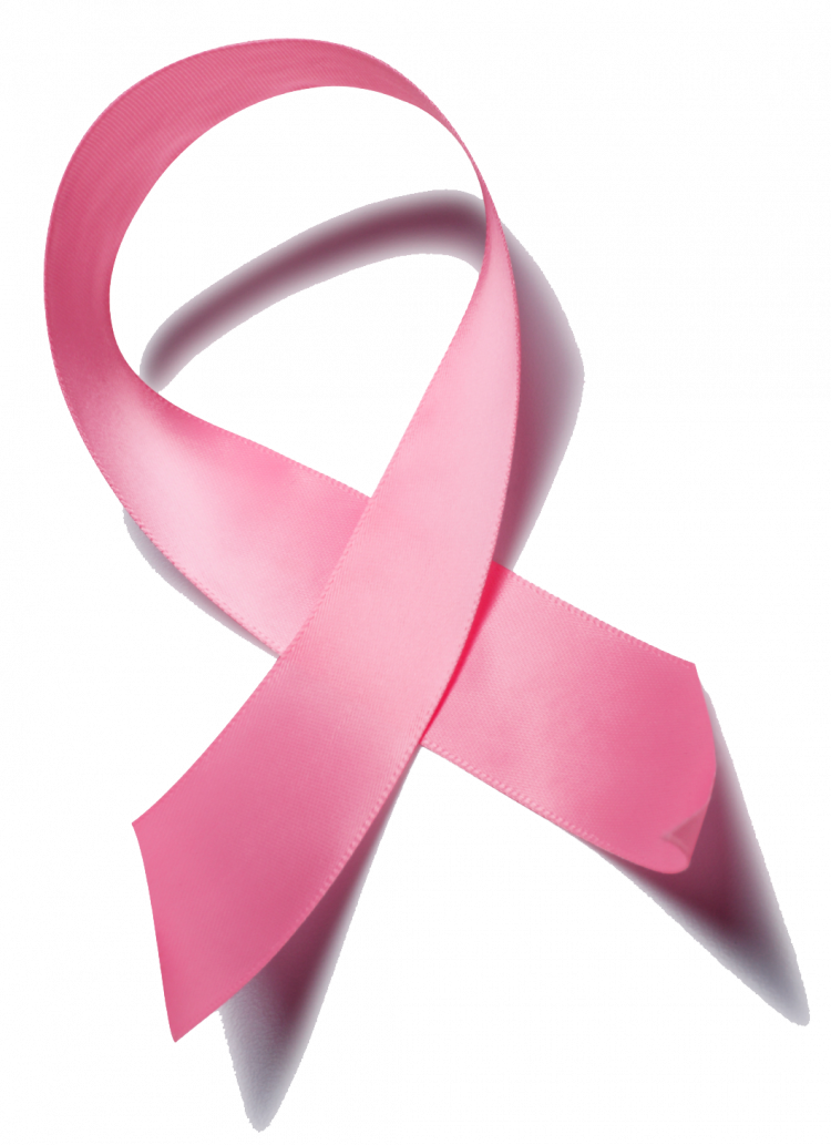 Pink Bow Breast Cancer Clipart (750x1033), Png Download