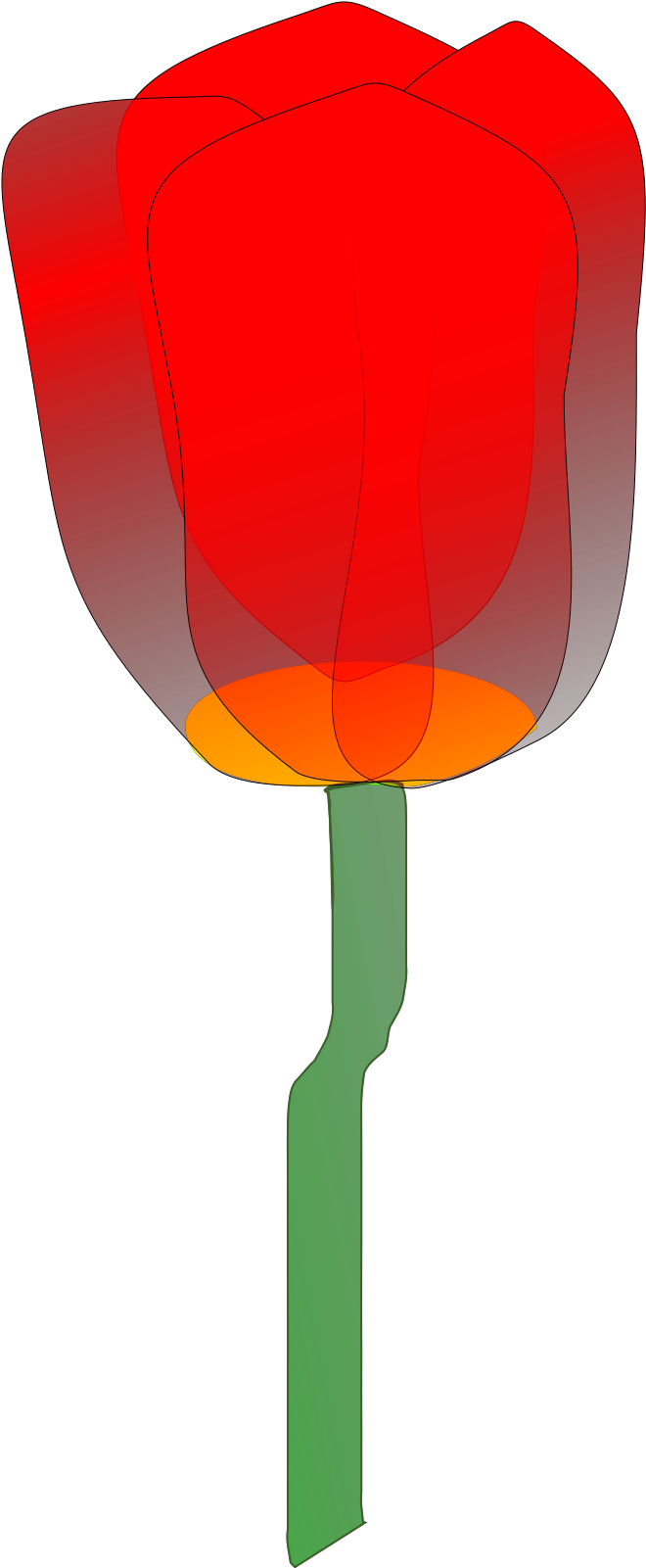 Tulip Clipart (1600x1600), Png Download