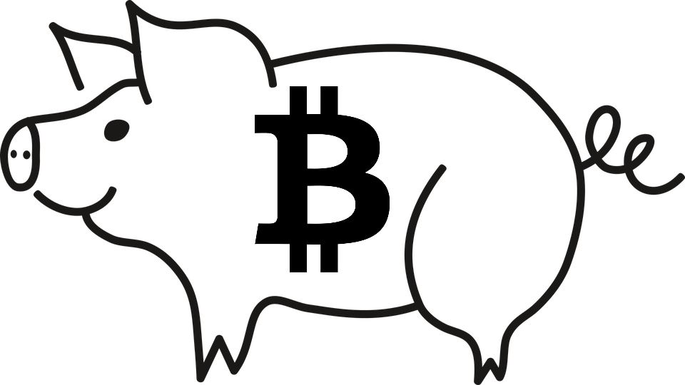 Cartoon Pig Black And White Clipart (960x540), Png Download
