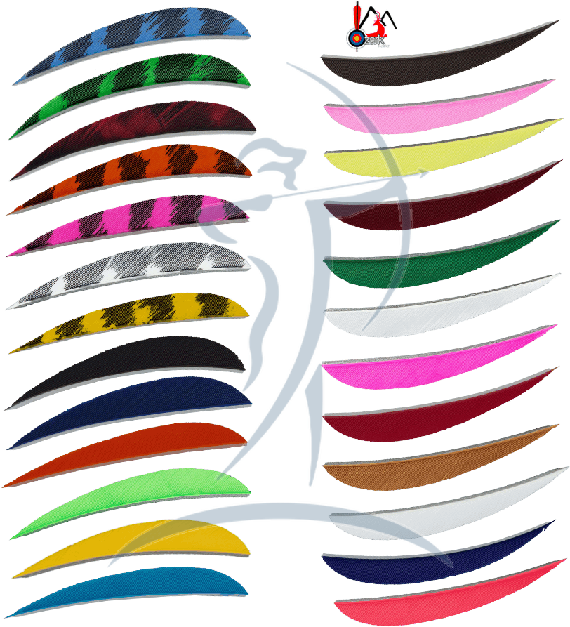 Ozark Feathers - Archery Clipart (900x900), Png Download