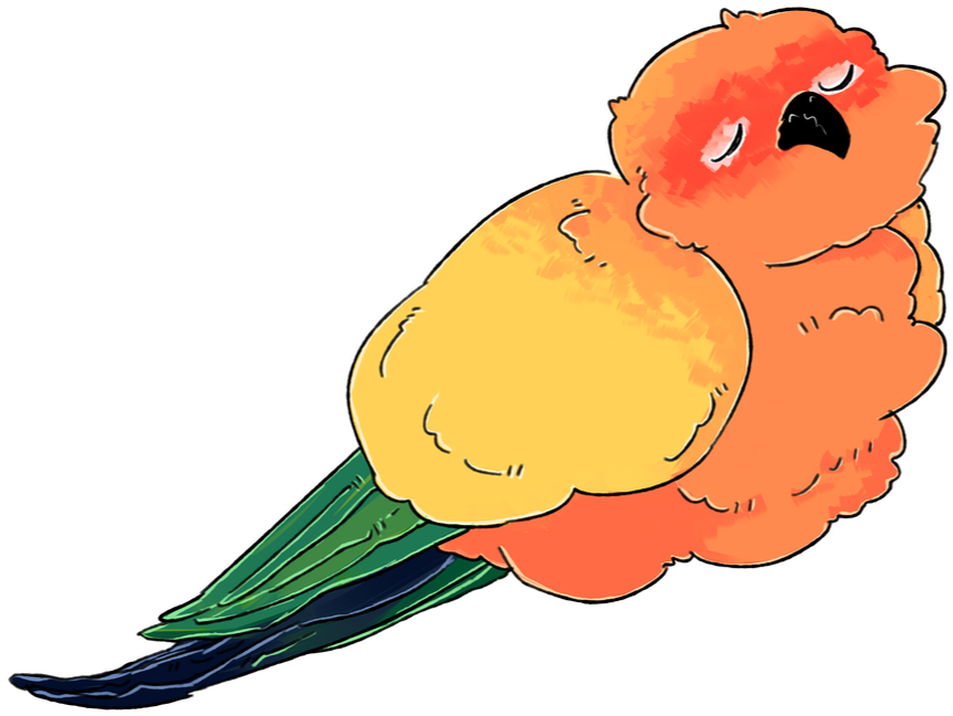 Picture Clipart (916x664), Png Download