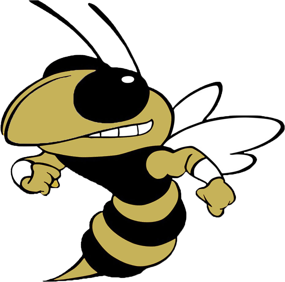 Hornet Clipart Wrestling, Hornet Wrestling Transparent - Tl Hanna High School Logo - Png Download (1054x951), Png Download