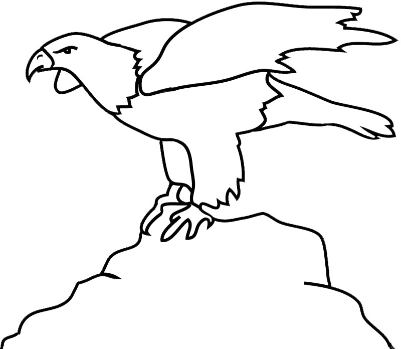 Bald Eagle Outline On Rock - Eagle Clipart Black And White - Png Download (800x696), Png Download