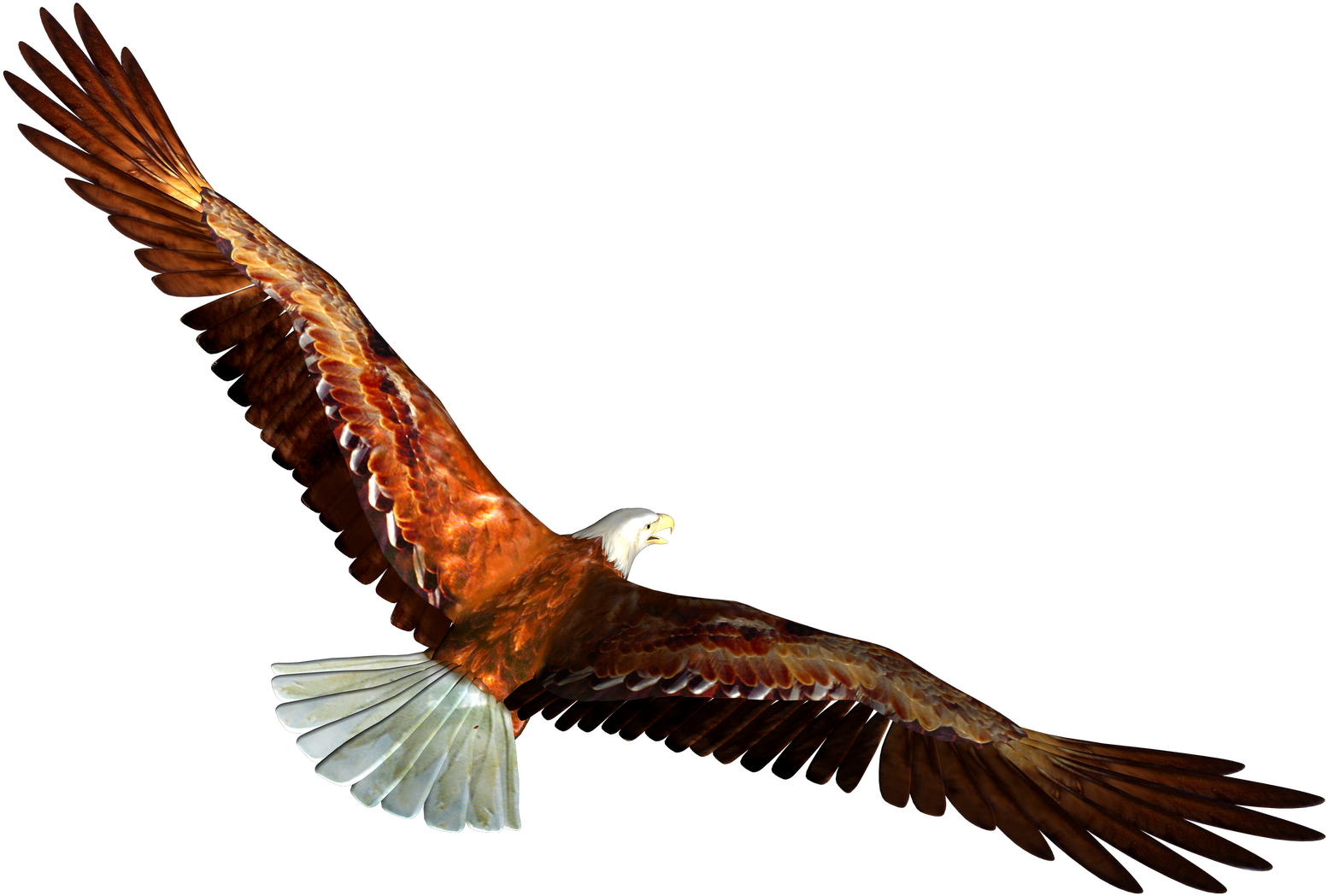 Eagle Clip Art - Png Download (1600x1131), Png Download