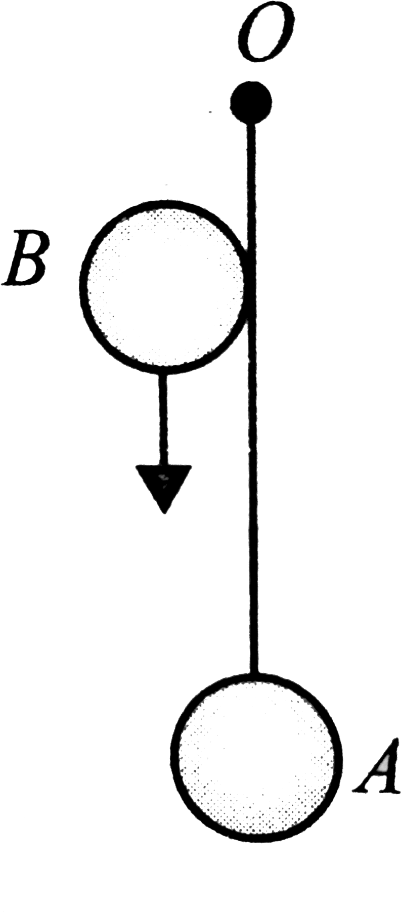 Circle Clipart (940x1904), Png Download