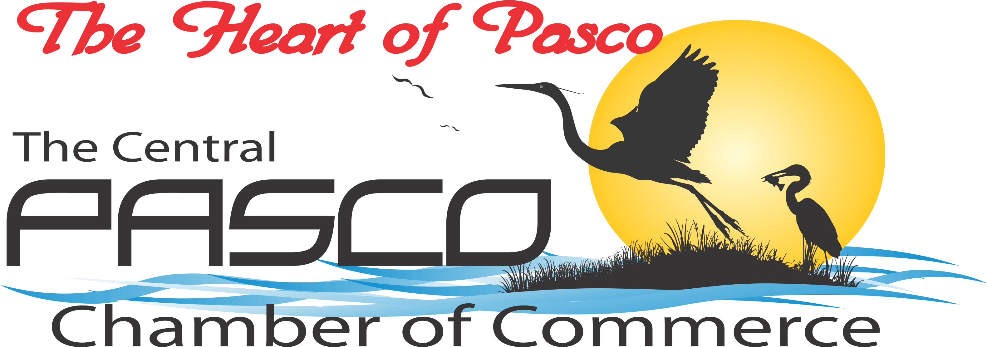 Wednesday Morning Networking Nov - Seabird Clipart (3162x1112), Png Download