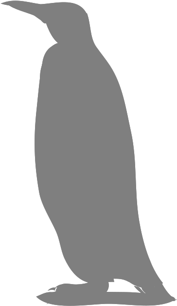 Penguin Shadow Svg Clip Arts - Adã©lie Penguin - Png Download (1024x1024), Png Download