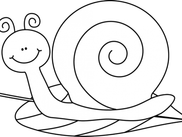 Snails Cliparts - Illustration - Png Download (640x480), Png Download