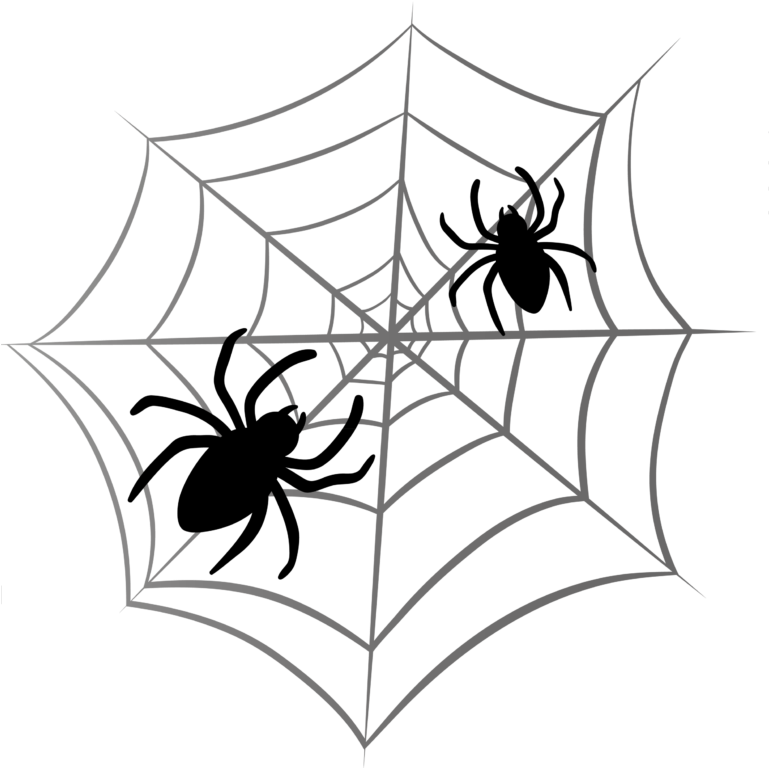 Spiders Clipart Black And White - Png Download (768x779), Png Download