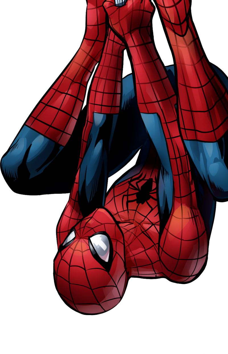 Spider-man Png Image - Transparent Background Spiderman Png Clipart (800x1244), Png Download