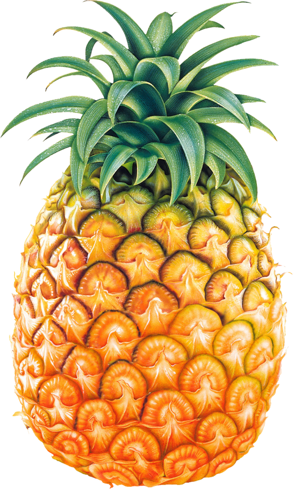 Transparent Fruit Ananas Pineapple Fruit Clipart For - Png Download (600x1000), Png Download