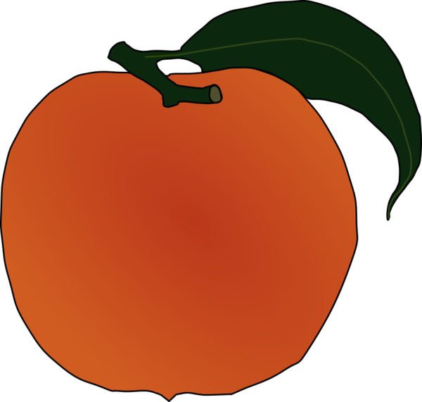Transparent Fruit Fruit Food Apple Clipart For Food - Peach Clip Art - Png Download (600x571), Png Download