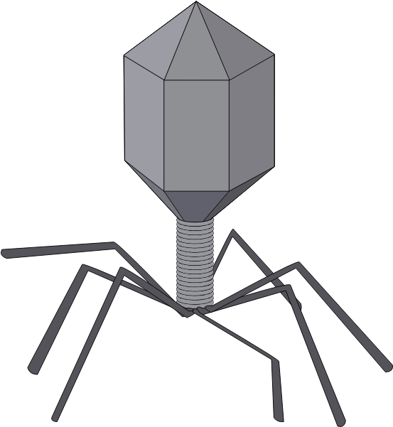 Virus - Virus Clip Art - Png Download (600x600), Png Download