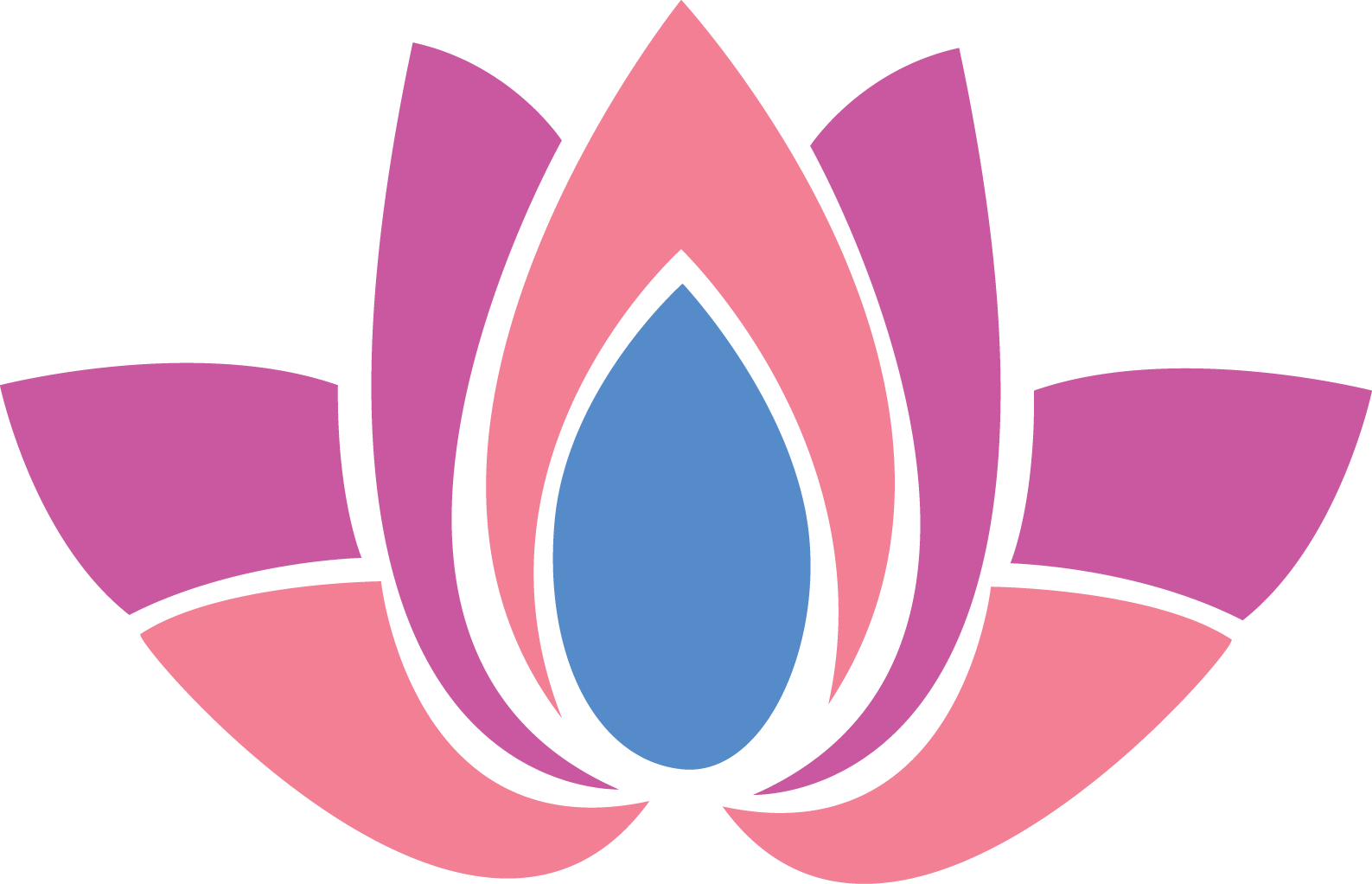 Transparent Library Religion Clipart Hindu Temple - National Symbols Of India - Png Download (1587x1022), Png Download