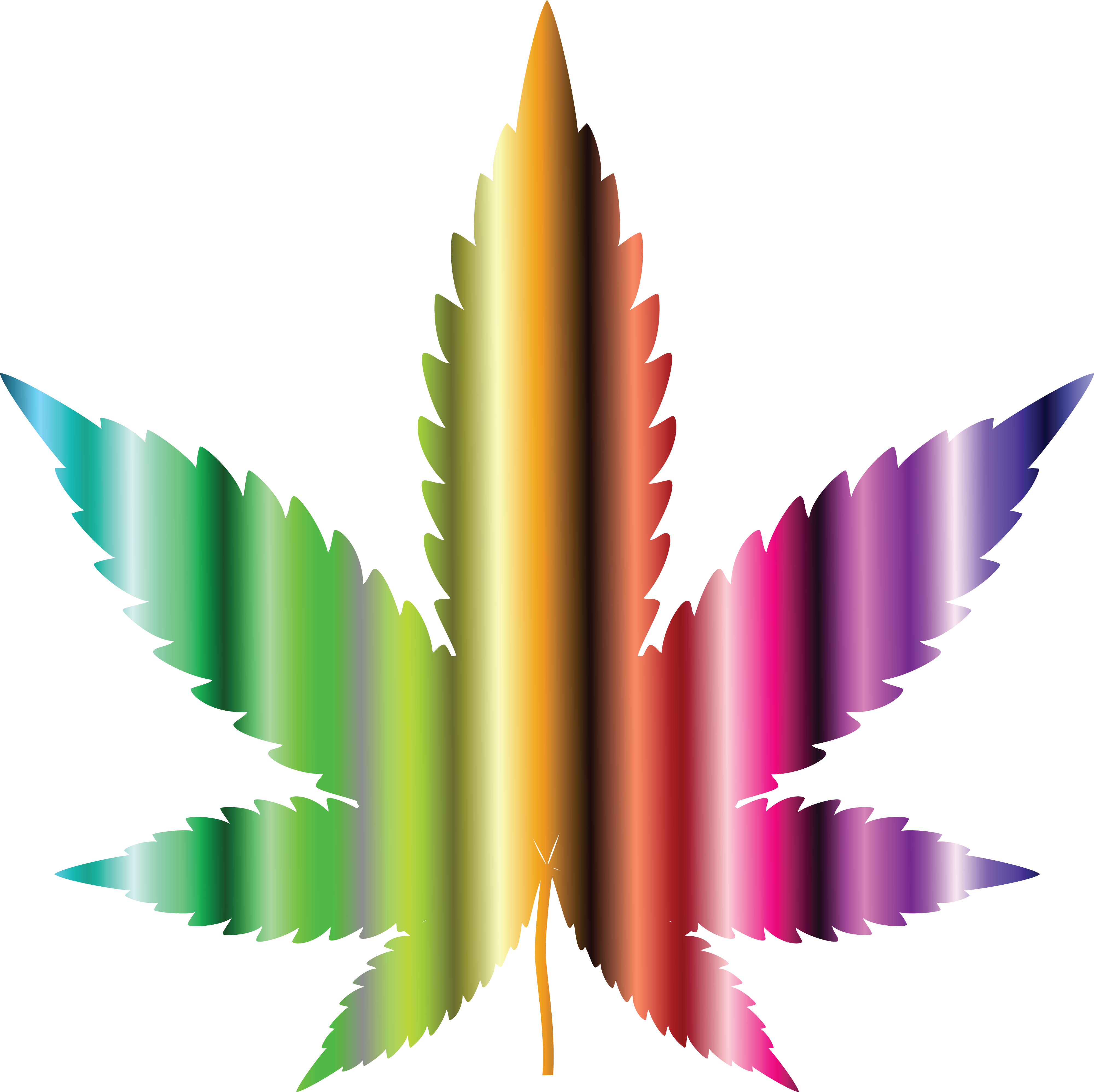 Download Transparent Real Weed Leaf Png Marijuana Leaves Cut Out