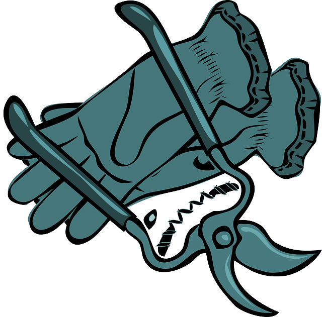 The Finest Cut - Yard Work Clipart Png Transparent Png (640x631), Png Download