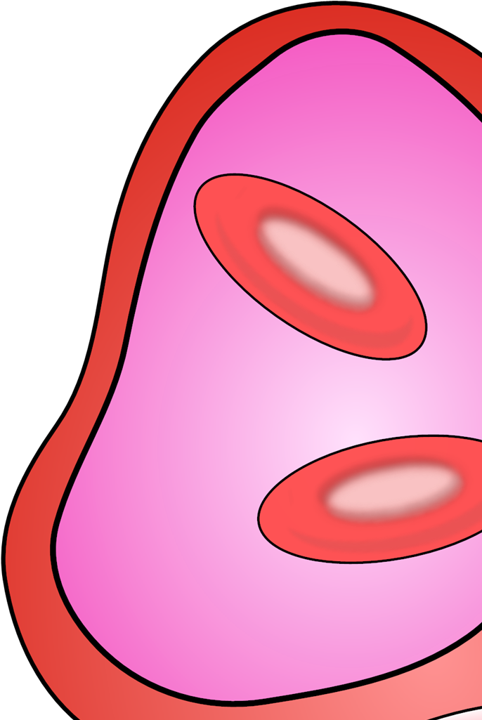 Clip Art - Png Download (1024x1024), Png Download