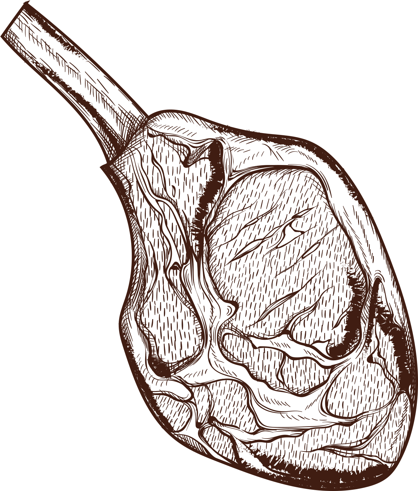 Steak Meat Image Sketch Clipart Full Size Clipart Pinclipart