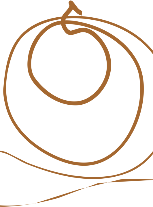 Line,circle,body Jewelry - Circle Clipart (530x750), Png Download