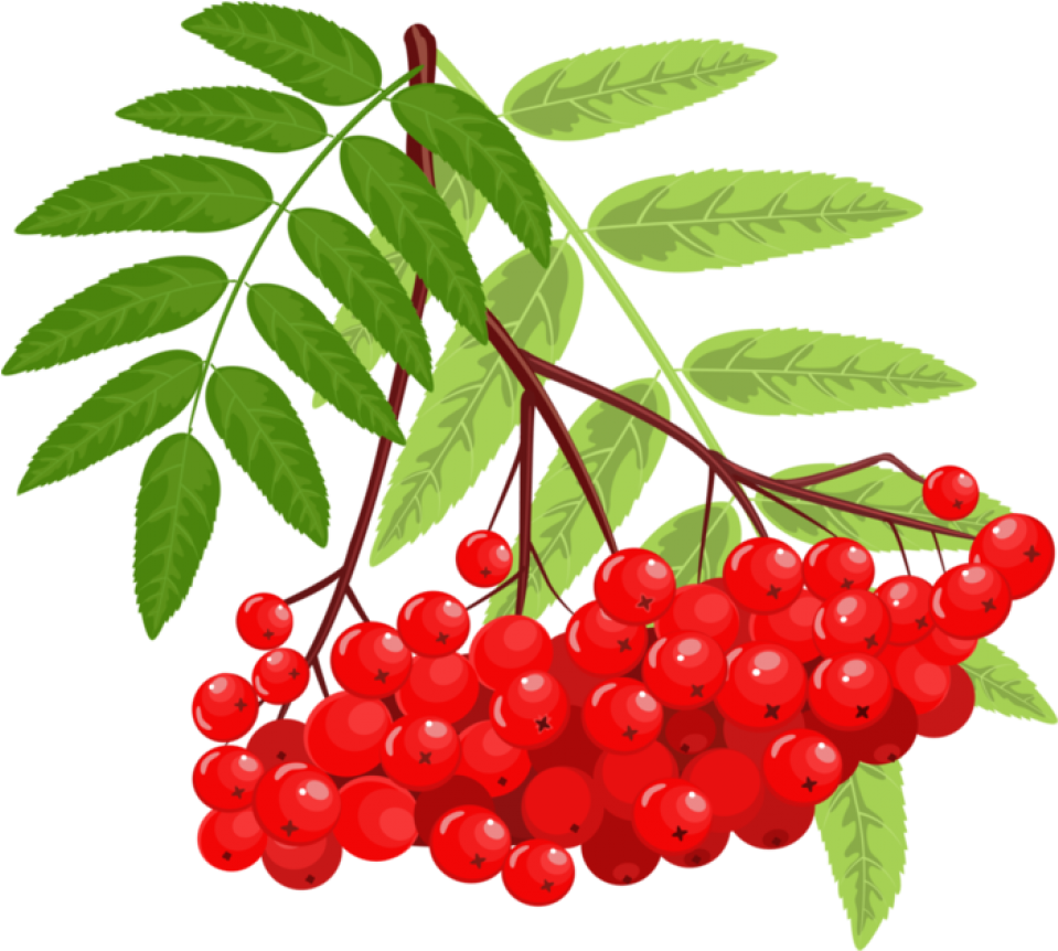 Похожее Изображение Clip Art, Cookies, Strawberry, - Стало Вдруг Светлее Вдвое - Png Download (959x862), Png Download