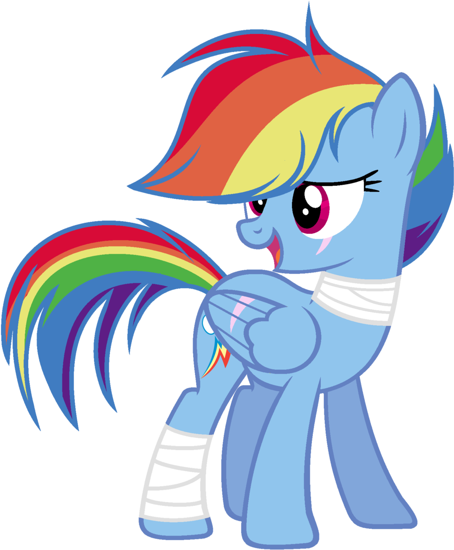 Transparent Bandage Simple - Rainbow Dash Different Hairstyles Clipart (1024x1133), Png Download