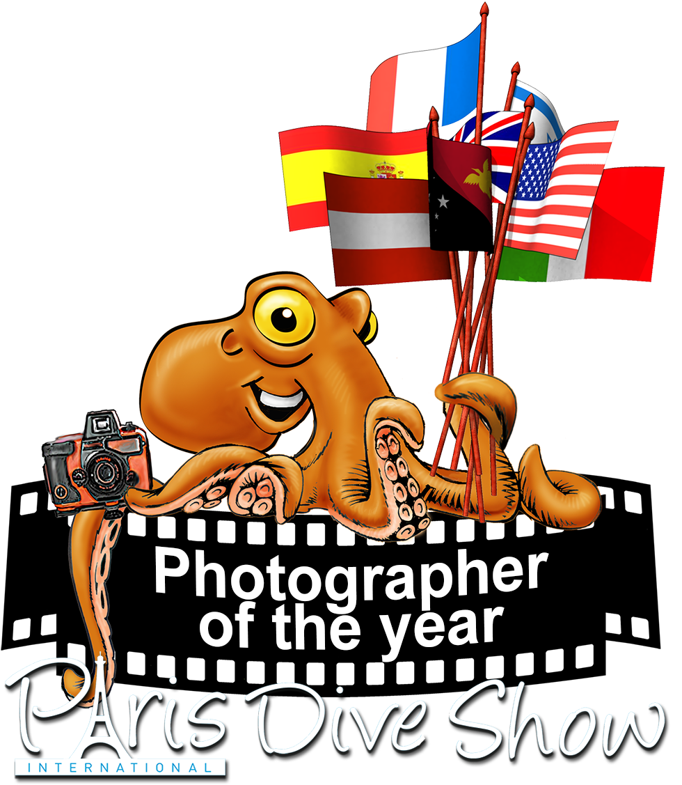 Clip Art - Png Download (1052x1134), Png Download