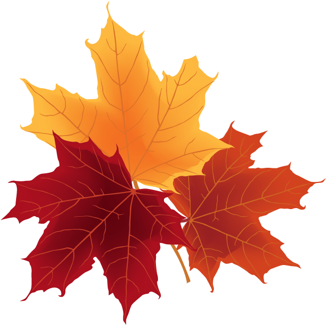 Fruit D Automne Illustration Clipart (713x678), Png Download