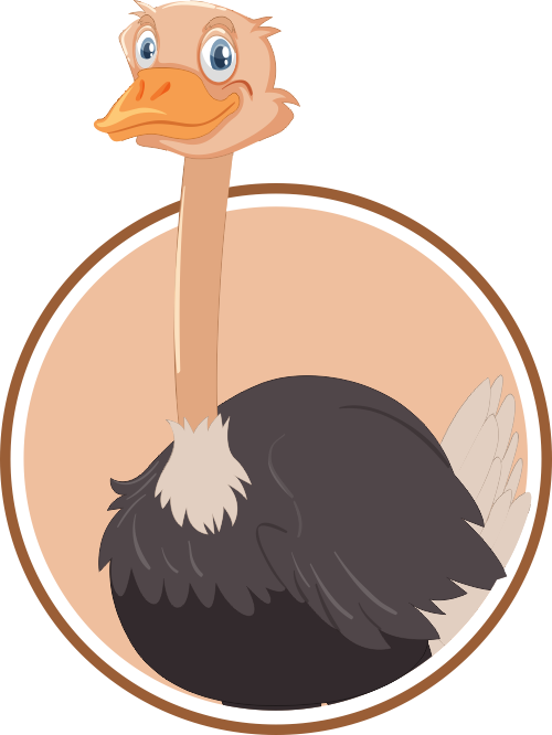 Страус Без Фона Мультяшная Clipart (500x666), Png Download