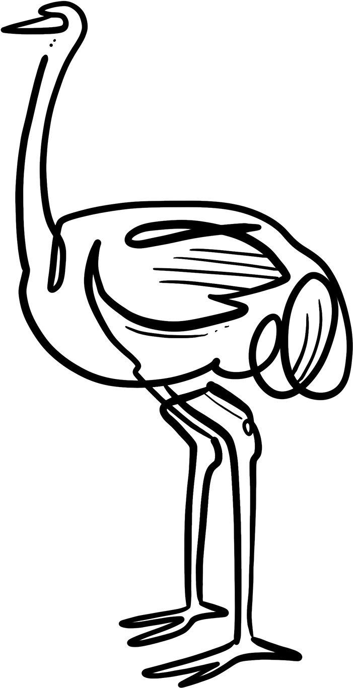Ostrich Clipart (1200x1601), Png Download