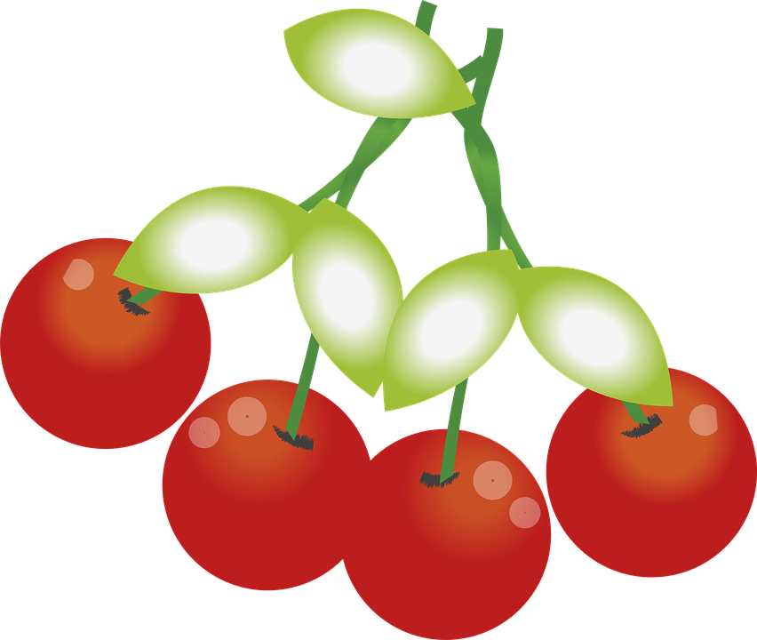 Fruit Clipart (852x720), Png Download