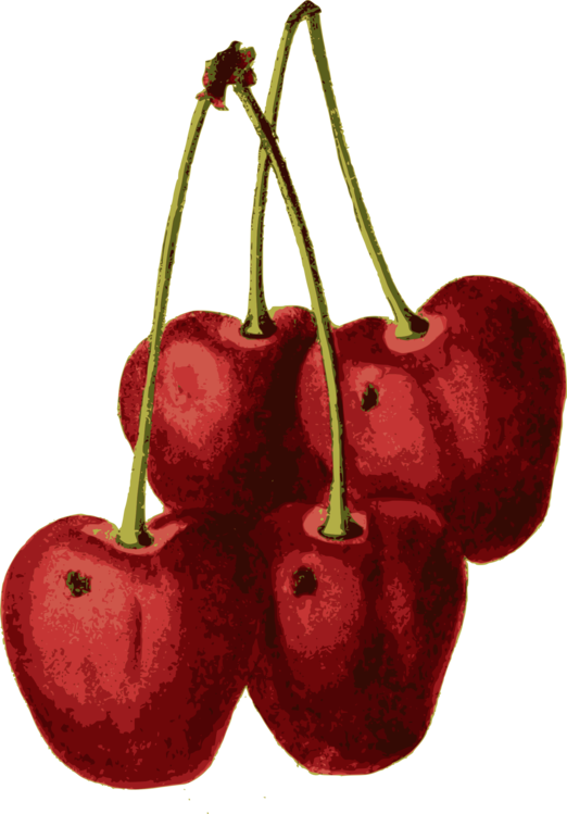 Seedless Fruit,plant,food - Cherry Clipart (522x749), Png Download