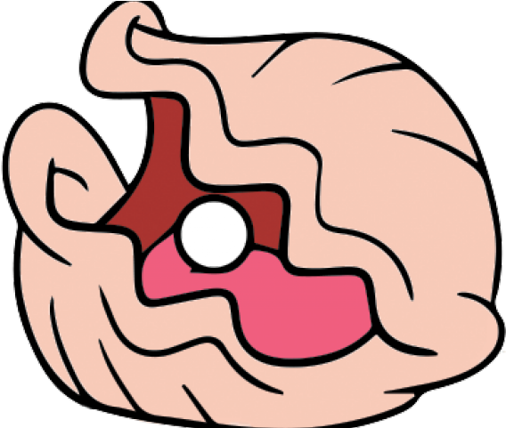 Clam Clipart - Png Download (640x480), Png Download