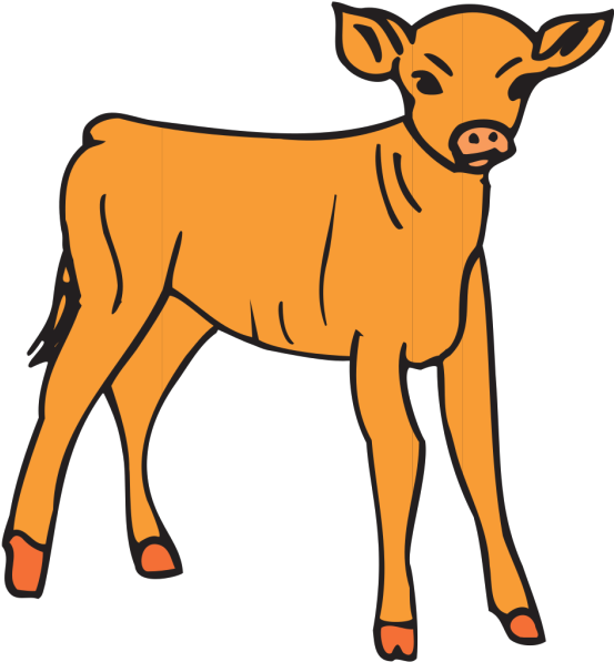 Orange Calf Png Icons - Outline Pictures Of Calf Clipart (600x600), Png Download