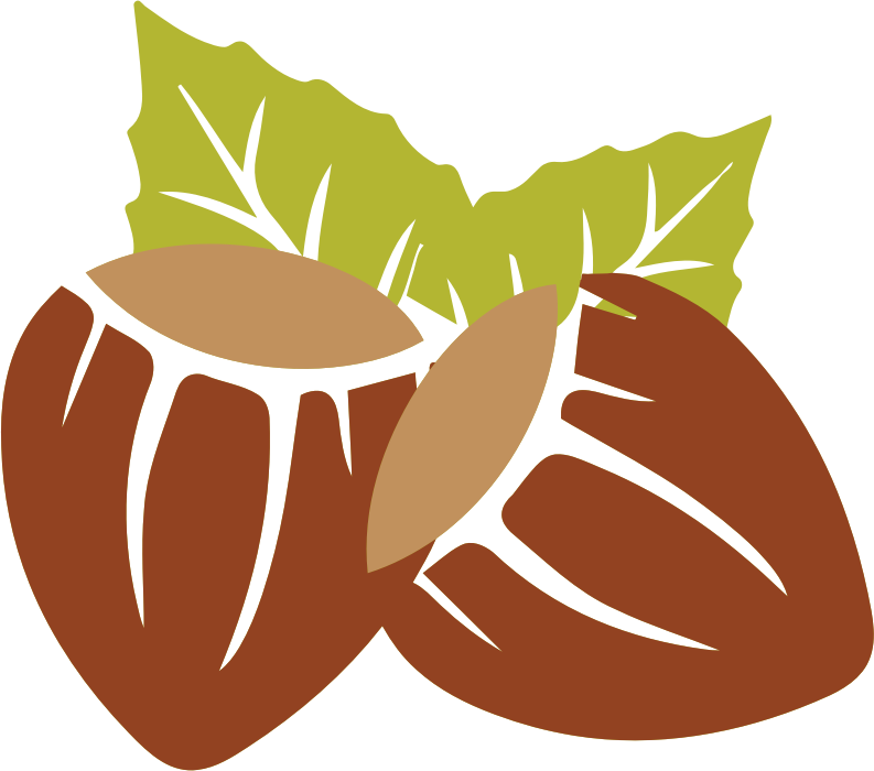 Nut Clipart Hazelnut - Hazelnut Clip Art - Png Download (793x700), Png Download