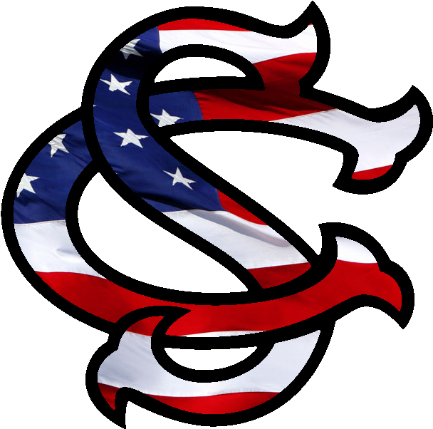 South Carolina Gamecocks Baseball - American Clipart (608x602), Png Download