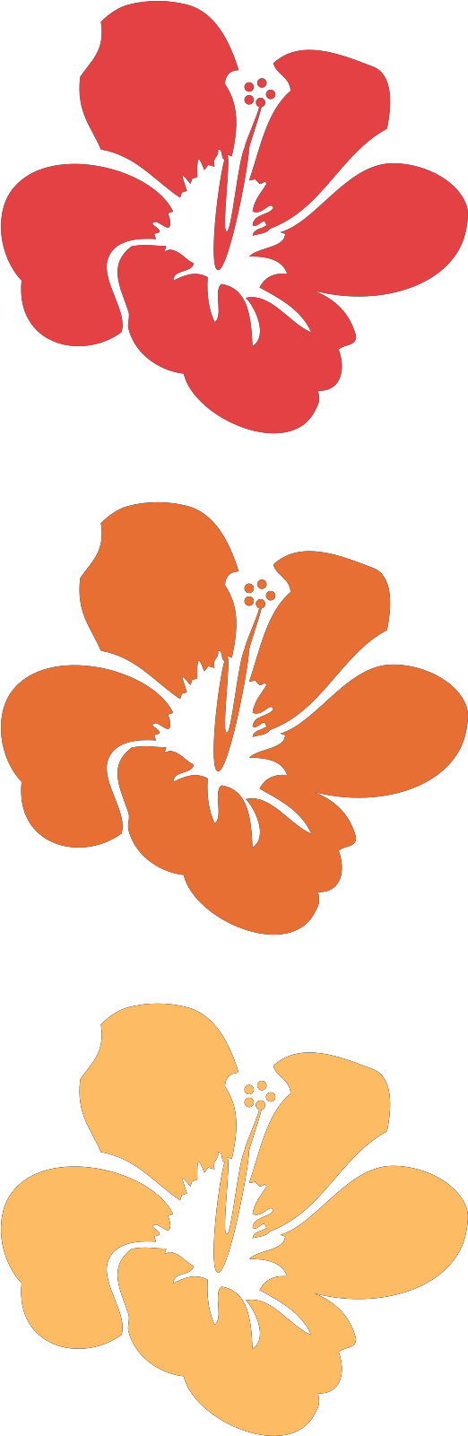 Hibiscus Flower Clip Art - Png Download (1600x1600), Png Download