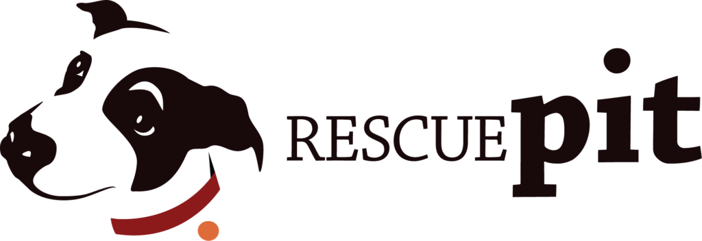 Clip Art - Png Download (1024x352), Png Download