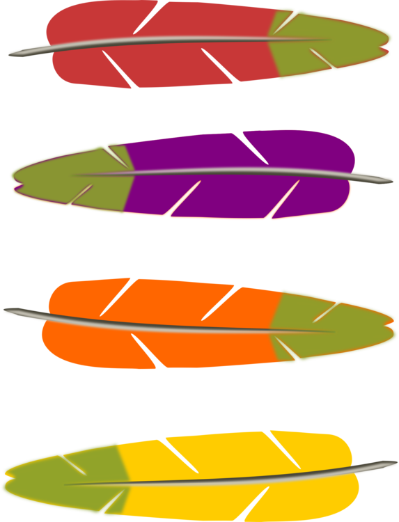 Leaf,wing,line - Turkey Feathers Clipart - Png Download (573x750), Png Download