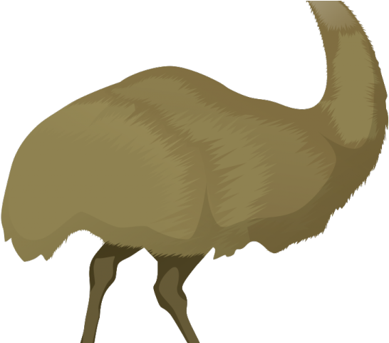 Emu Cartoon Png Clipart (640x480), Png Download