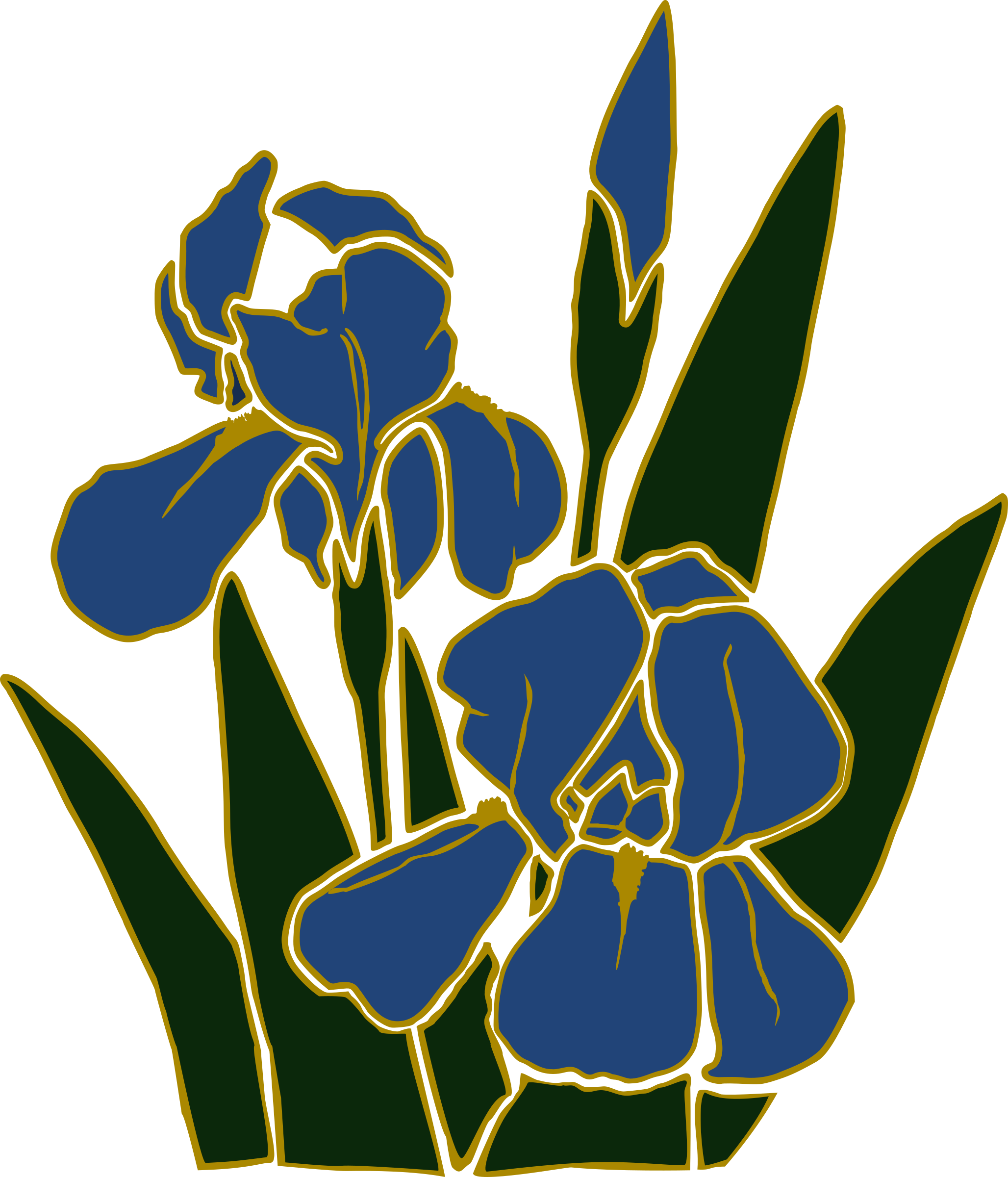 Iris 1 Clip Arts Clip Art Png Download Full Size Clipart